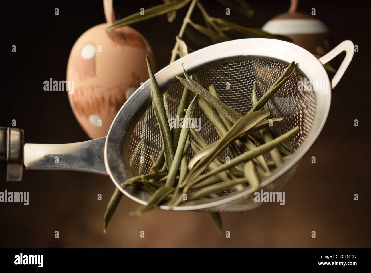 Easter herbal tea with olive leaves Stock Photo