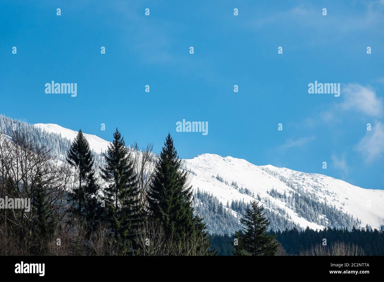 Winter with snow in the Giant Mountains, Czech Republic. Stock Photo