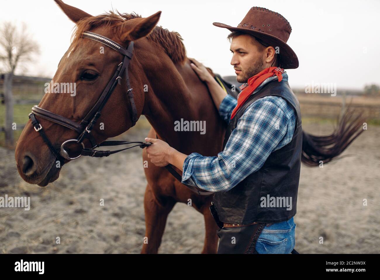 Cowboy in jeans and leather jacket poses with horse on texas ranch ...