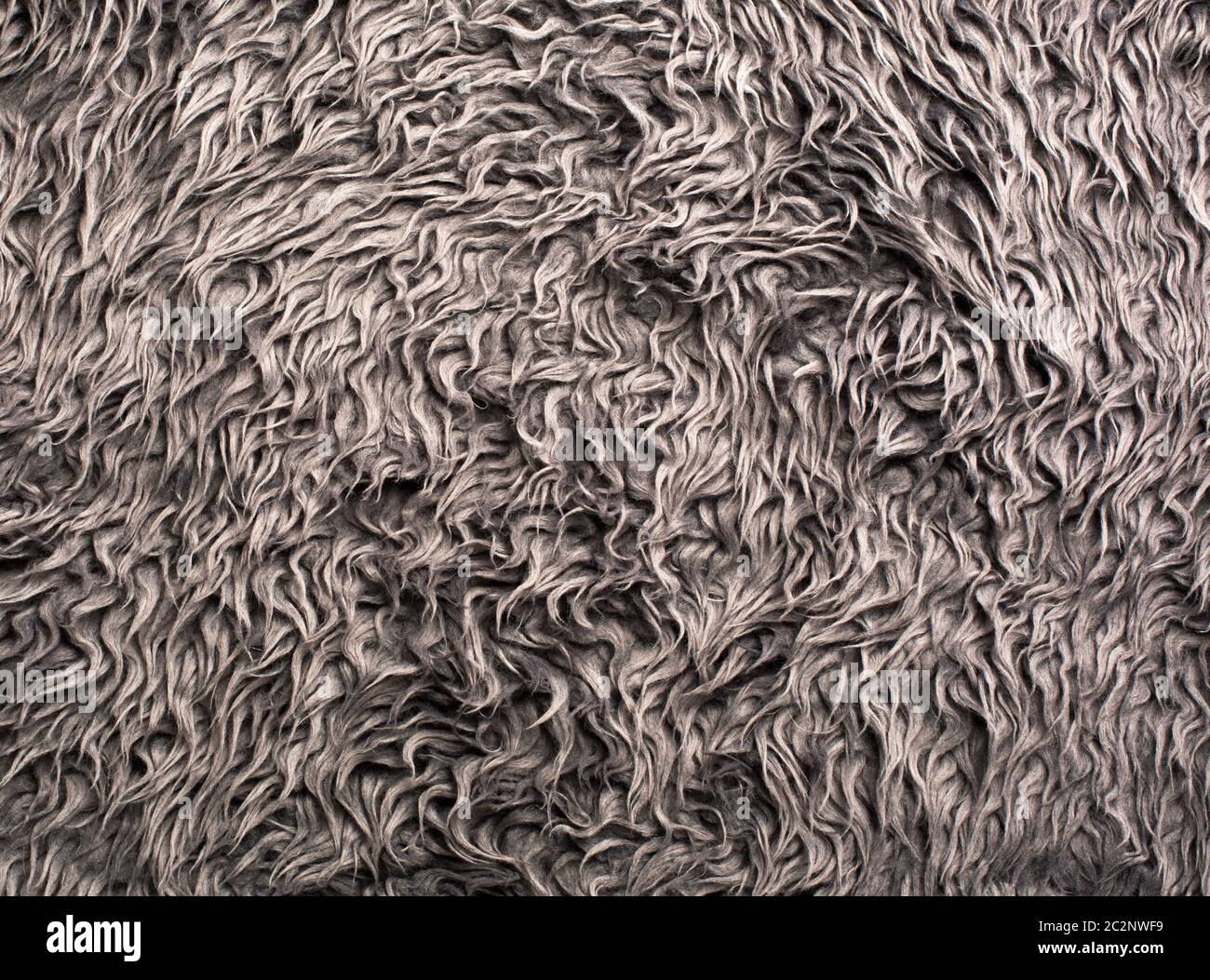 Faux Bear Fur High Resolution Stock Photography and Images - Alamy
