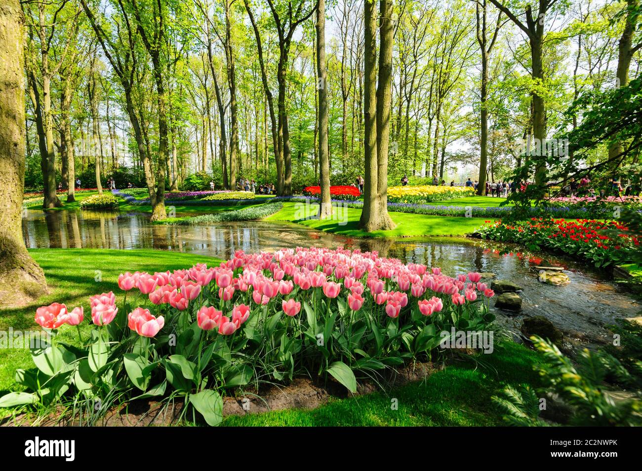Flower beds of Keukenhof Gardens in Lisse, Netherlands Stock Photo