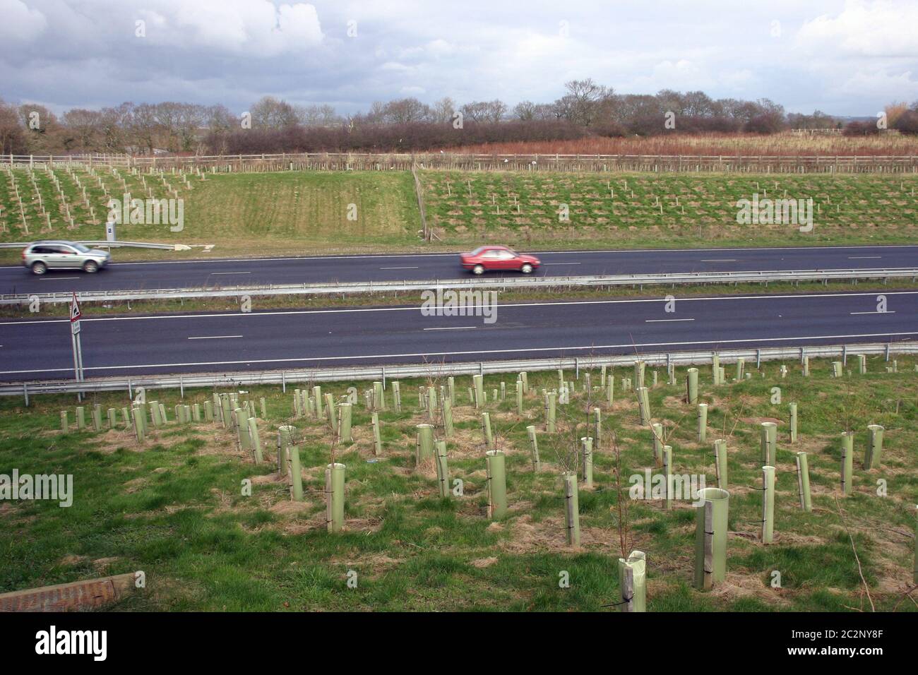 Tree Guard Car Small trees with tree guards planted by the side of a dual carriageway ...