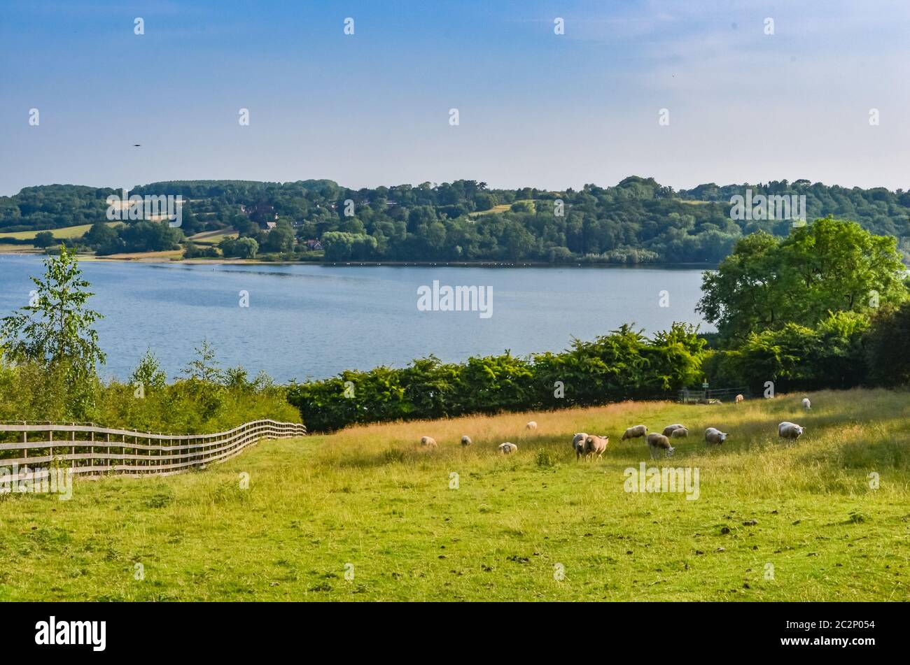Rutland Water a large reservoir in Leicestershire. With blue sky, grass