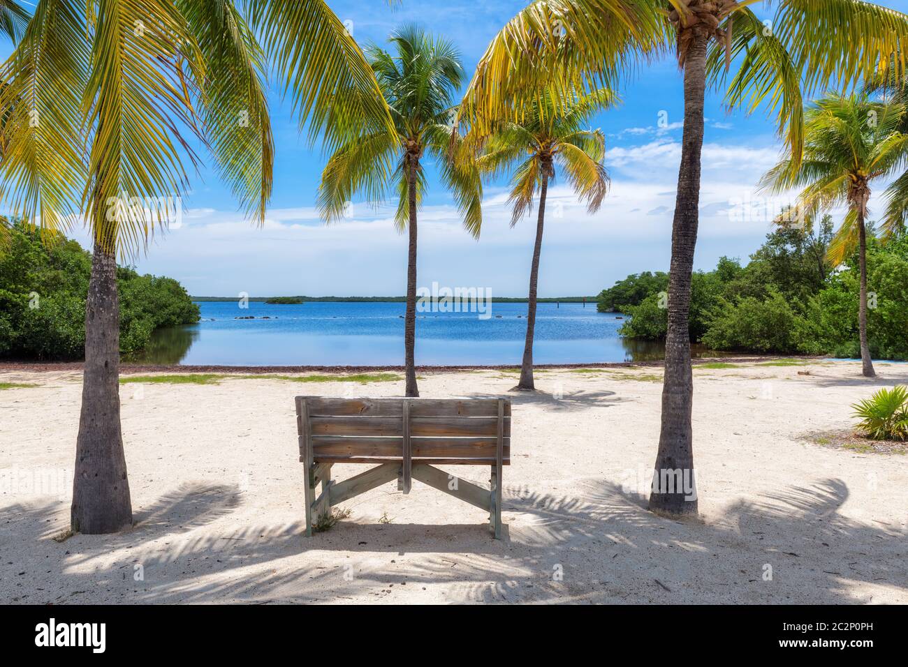 Palm trees on a tropical beach in Florida Keys Stock Photo Alamy