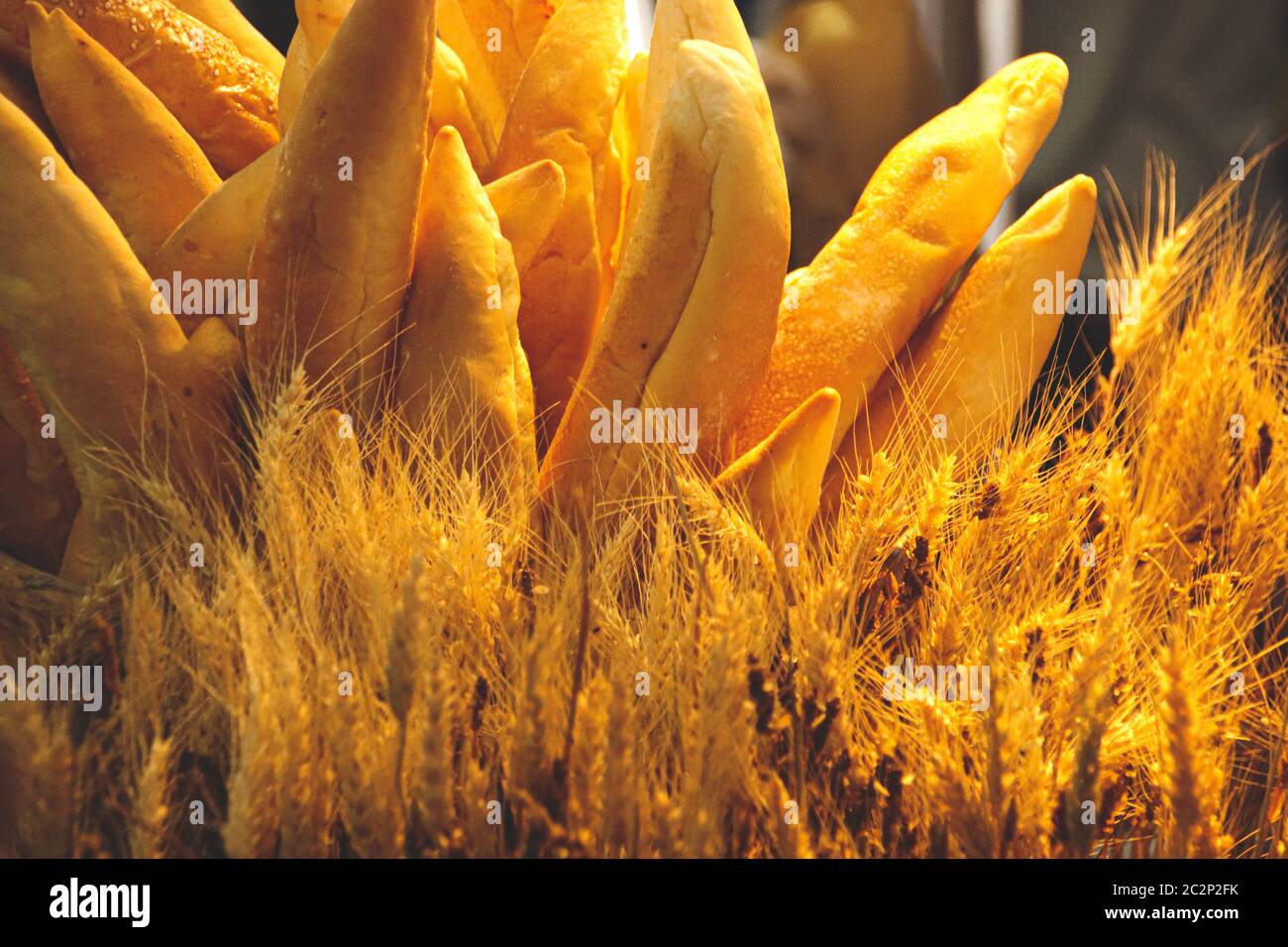 Baguette bread and wheat plant to show concept of Autumn harvest, Agriculture and Plant based food Stock Photo