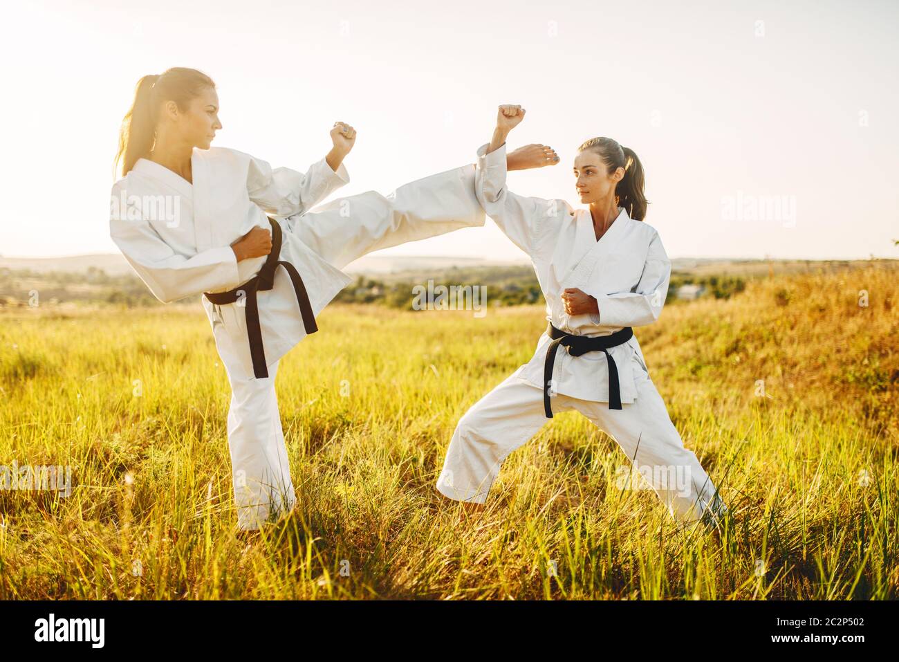 Black belt karate clearance fight