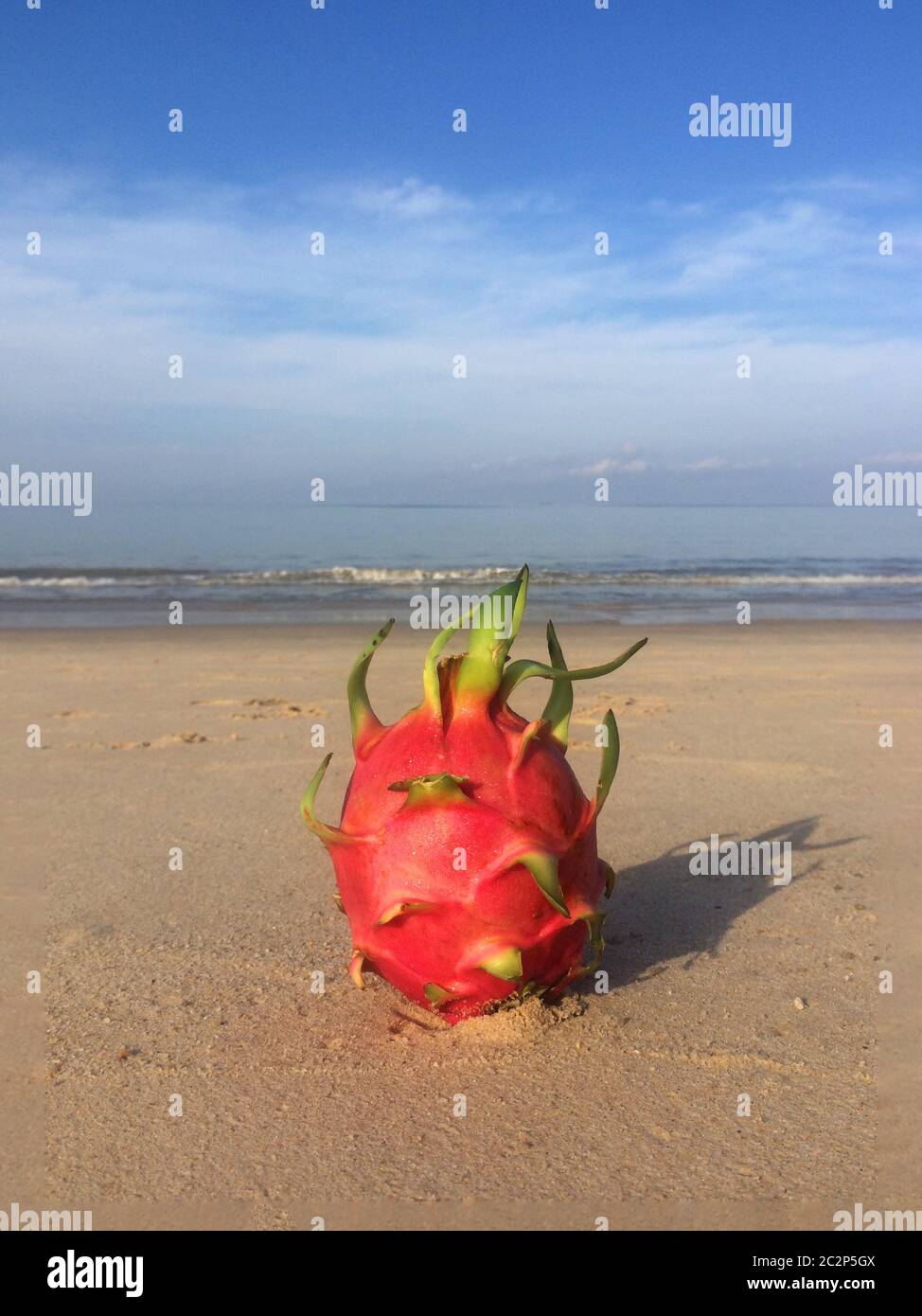 Hawaii blue dragon hi-res stock photography and images - Alamy