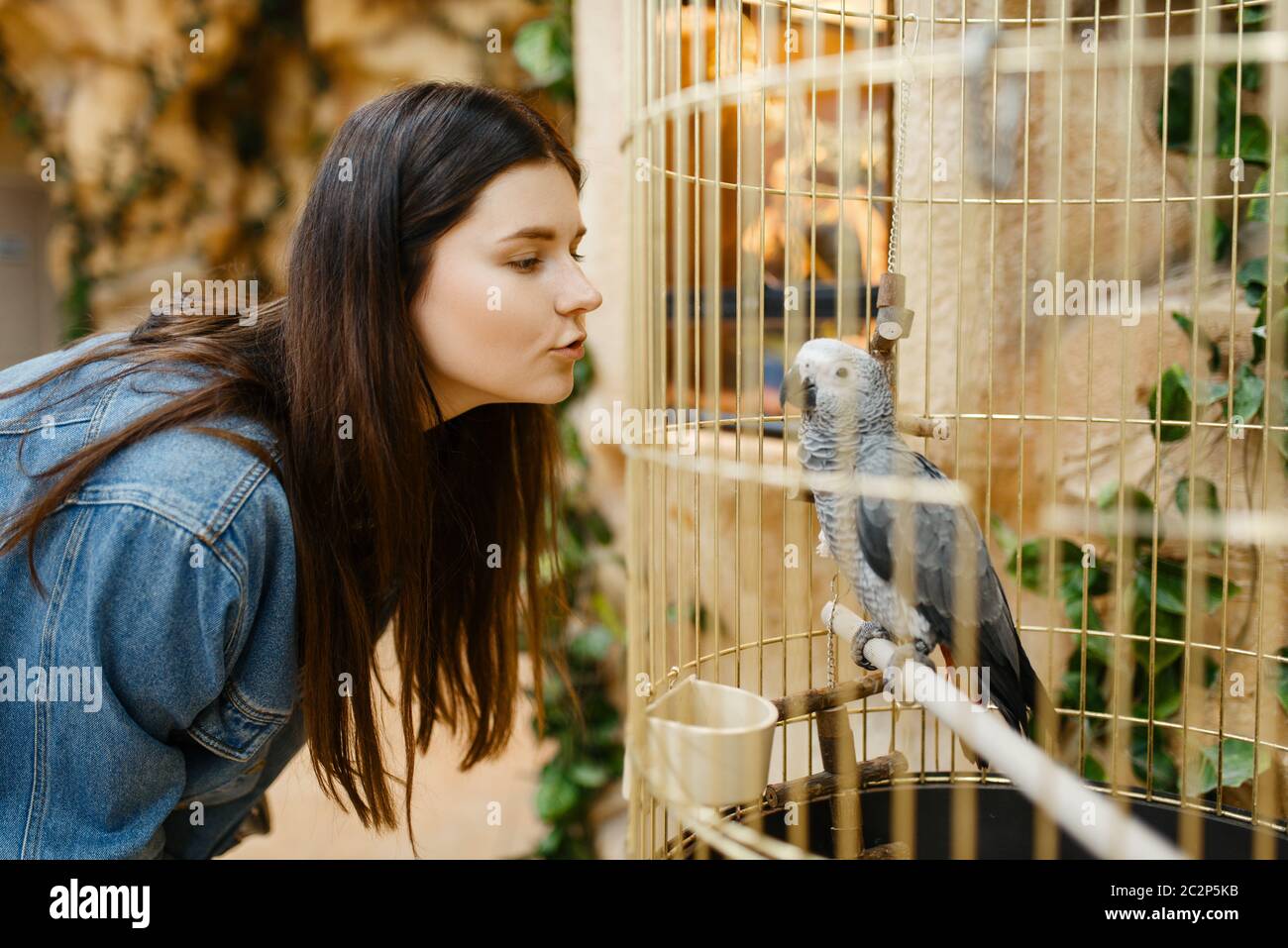 Young woman looking on parrot in cage, pet store. Female person buying
