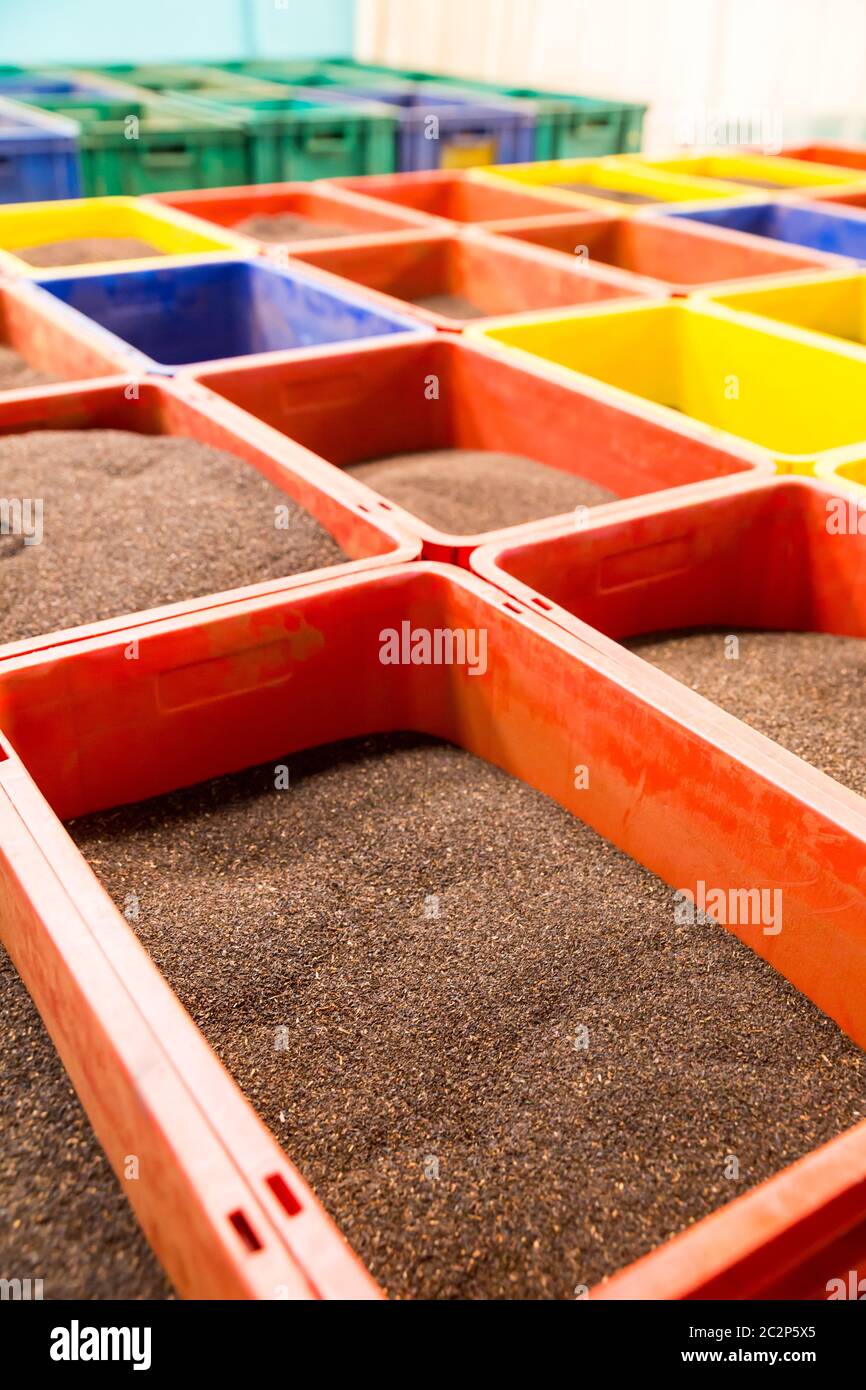 Collection of Ceylon teas in boxes, closeup view. Plants of Sri Lanka