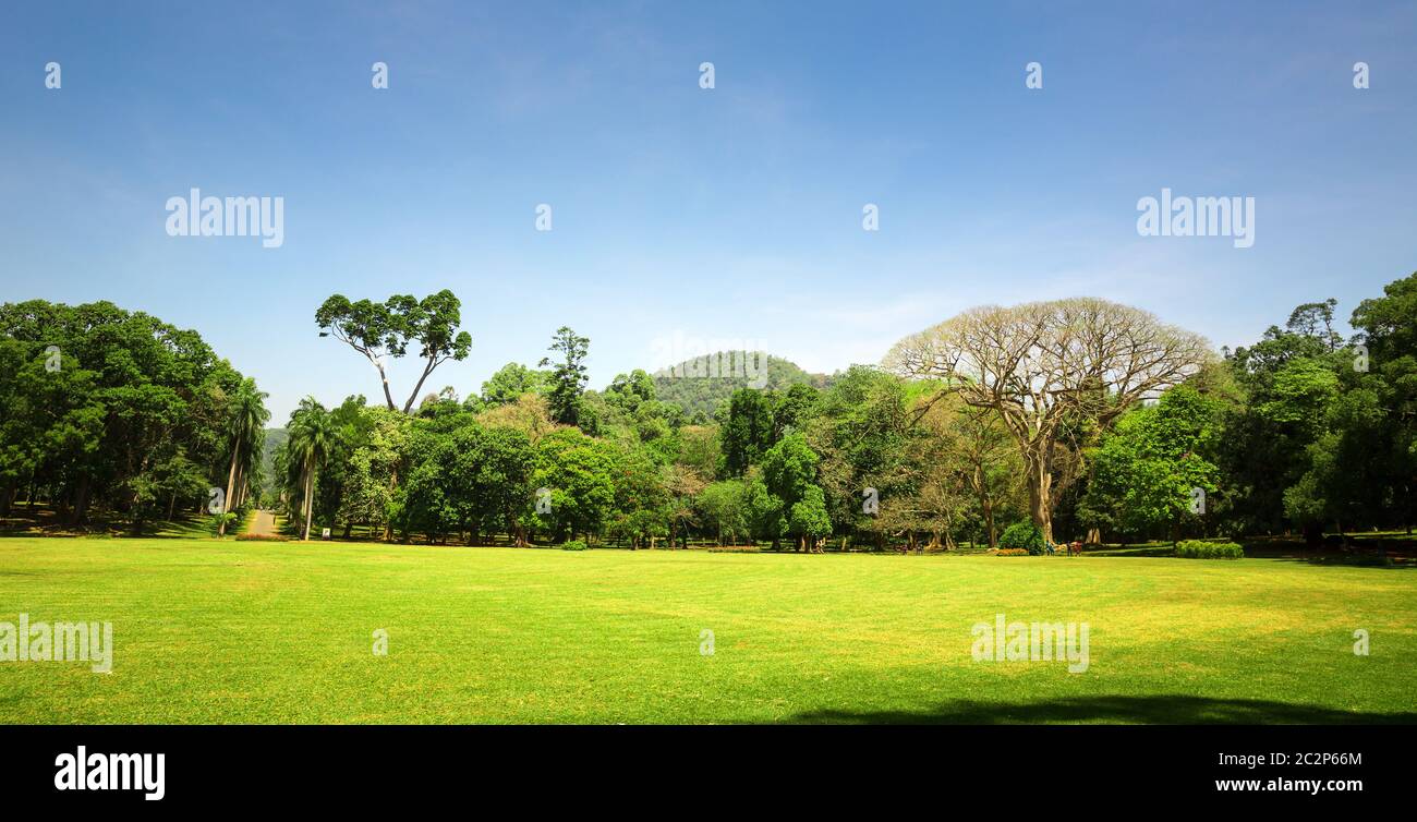 Scenic nature anb blue sky, Ceylon. Landscape of Sri Lanka Stock Photo ...