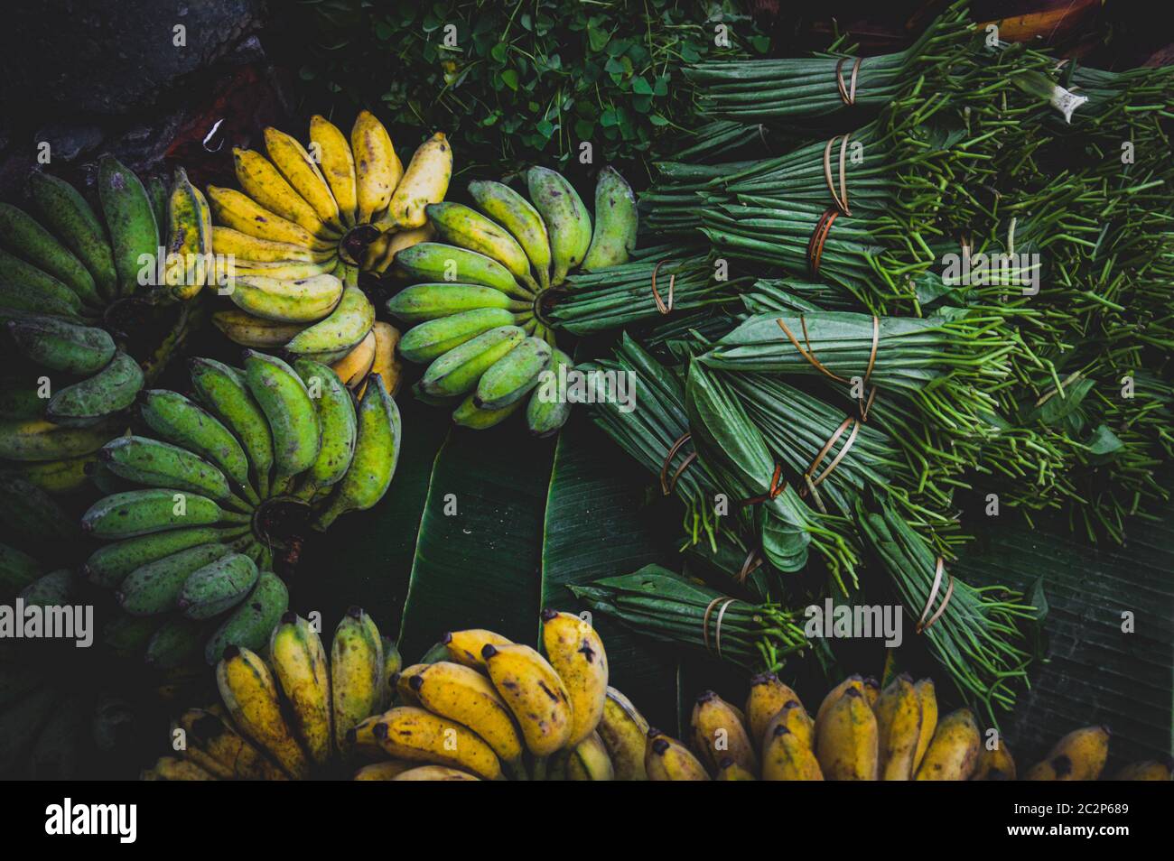 Betel leaves and fresh bananas sold in the local morning market in Luang Prabang, Laos Stock Photo
