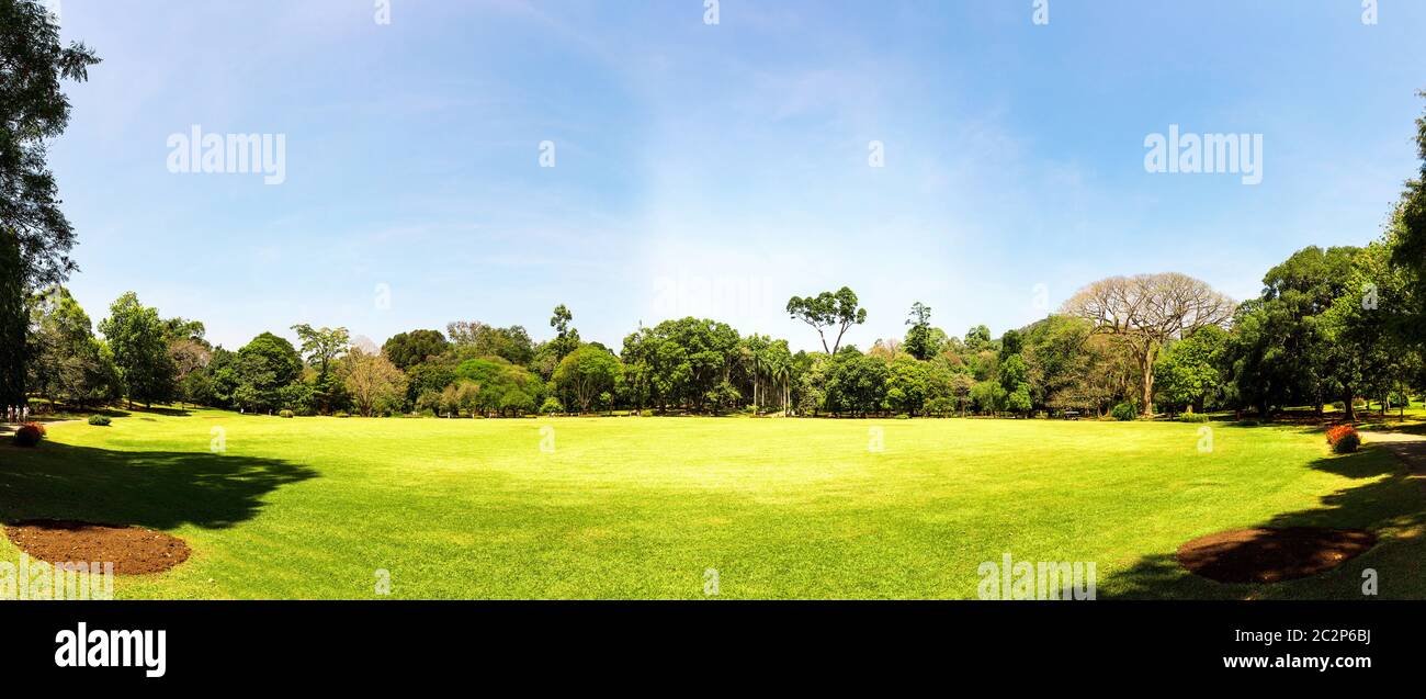 Scenic nature anb blue sky, Ceylon. Landscape of Sri Lanka Stock Photo ...