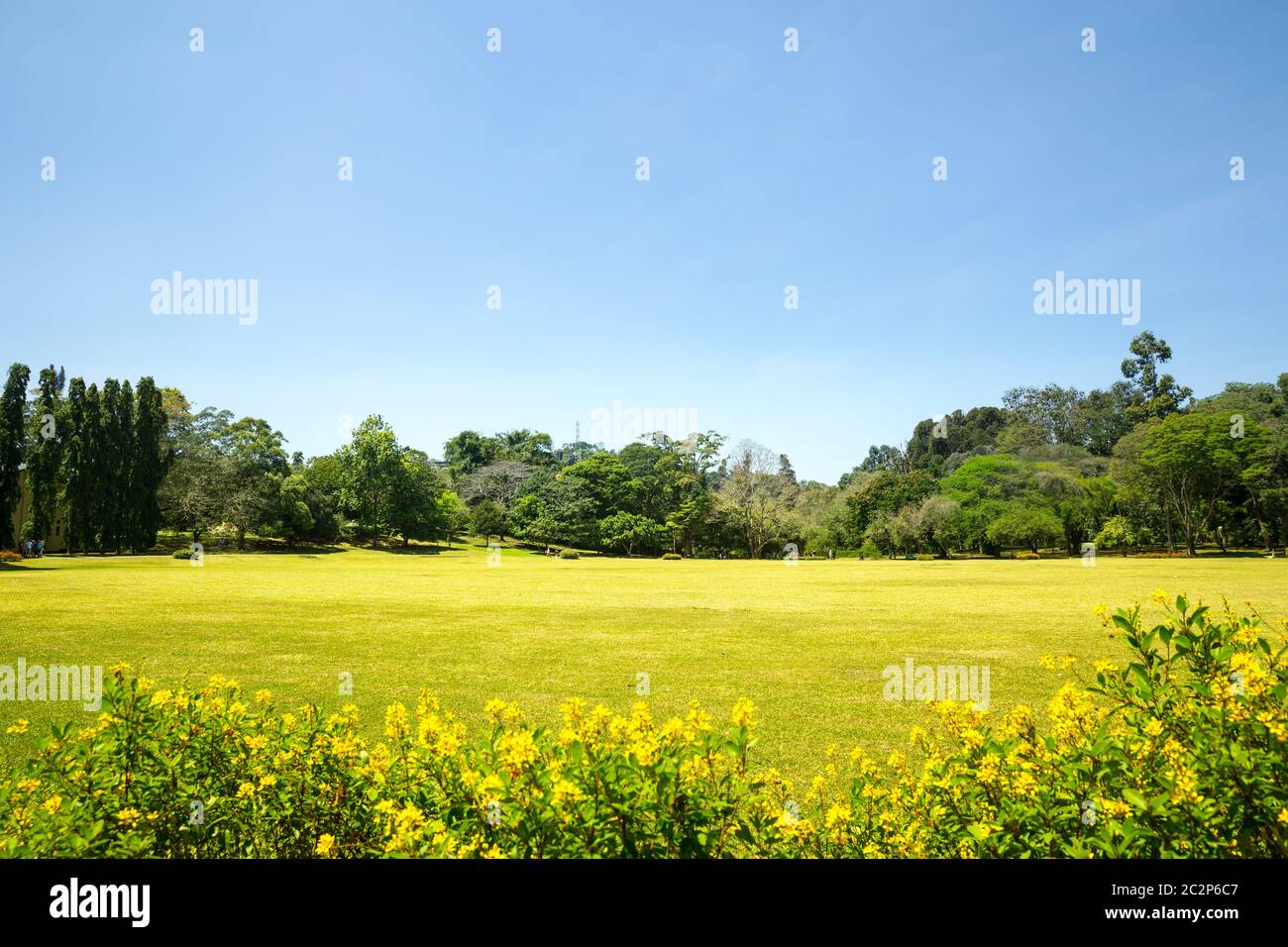 Scenic nature anb blue sky, Ceylon. Landscape of Sri Lanka Stock Photo ...