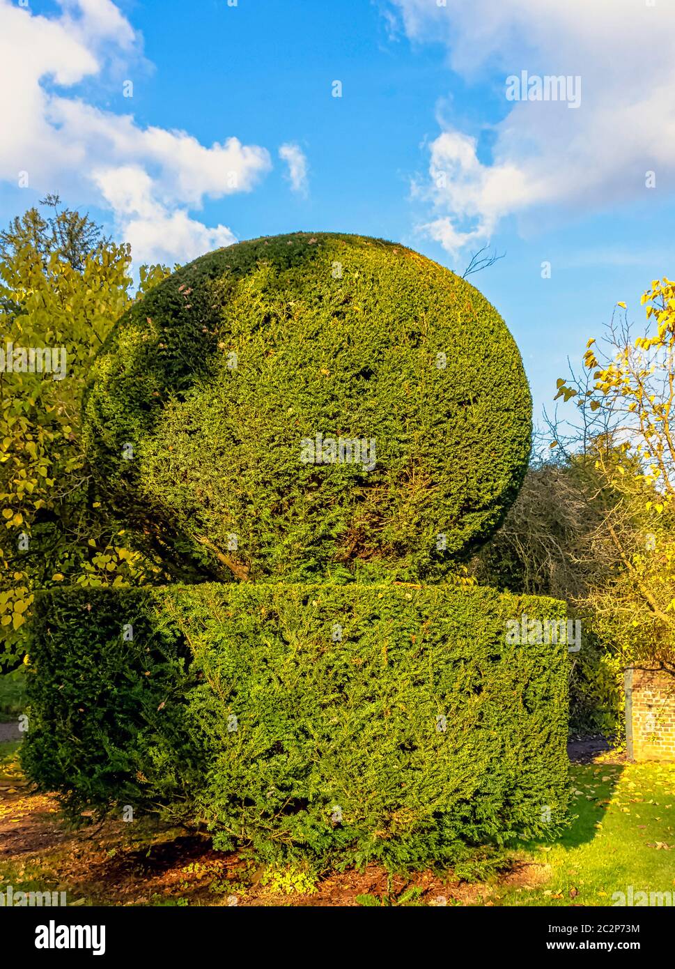 Topiary garden with shrub trimmed into shape Stock Photo