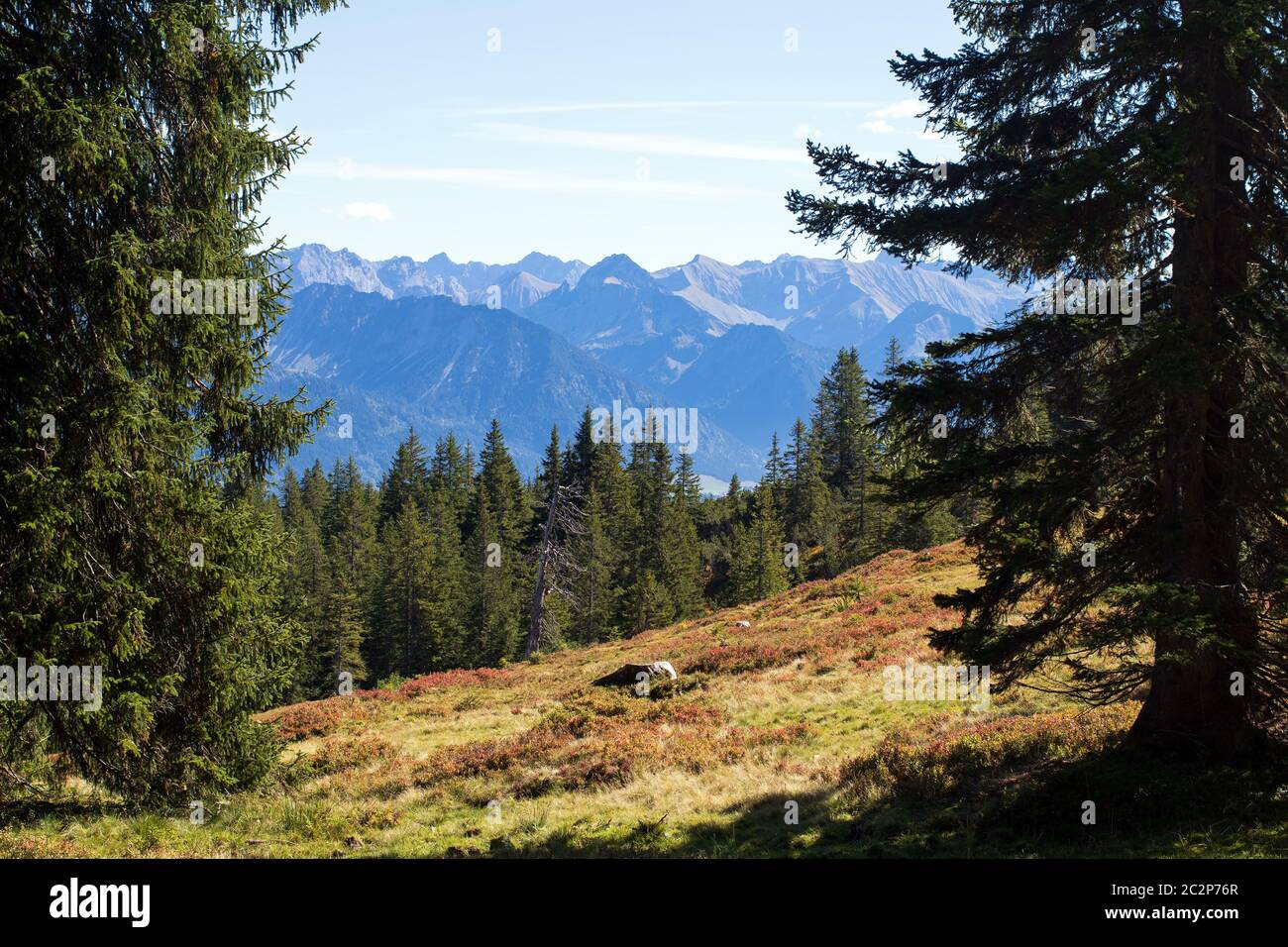 Bavarian Landscape 029. Germany Stock Photo