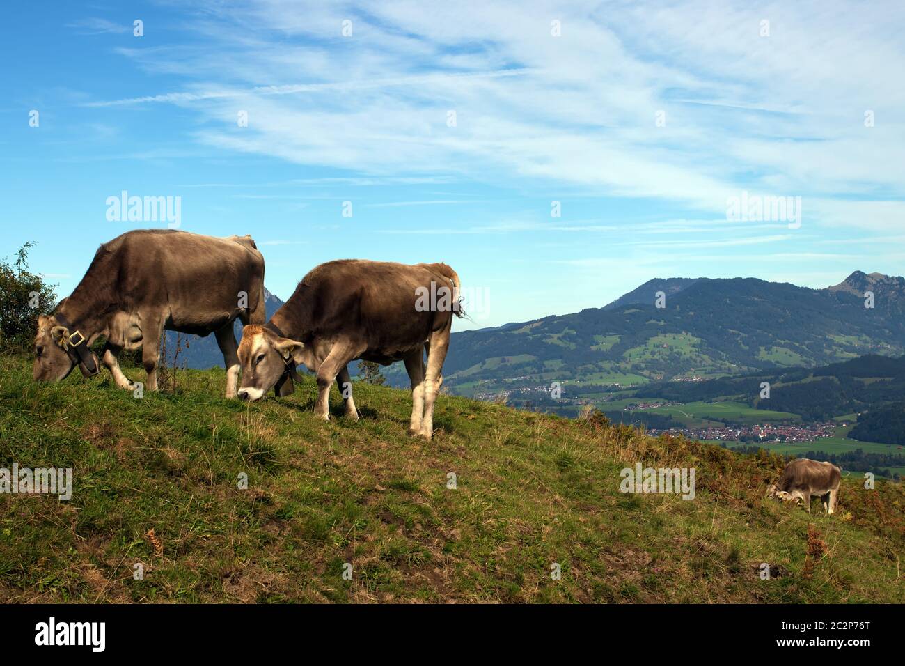 Bavarian Landscape 032. Germany Stock Photo