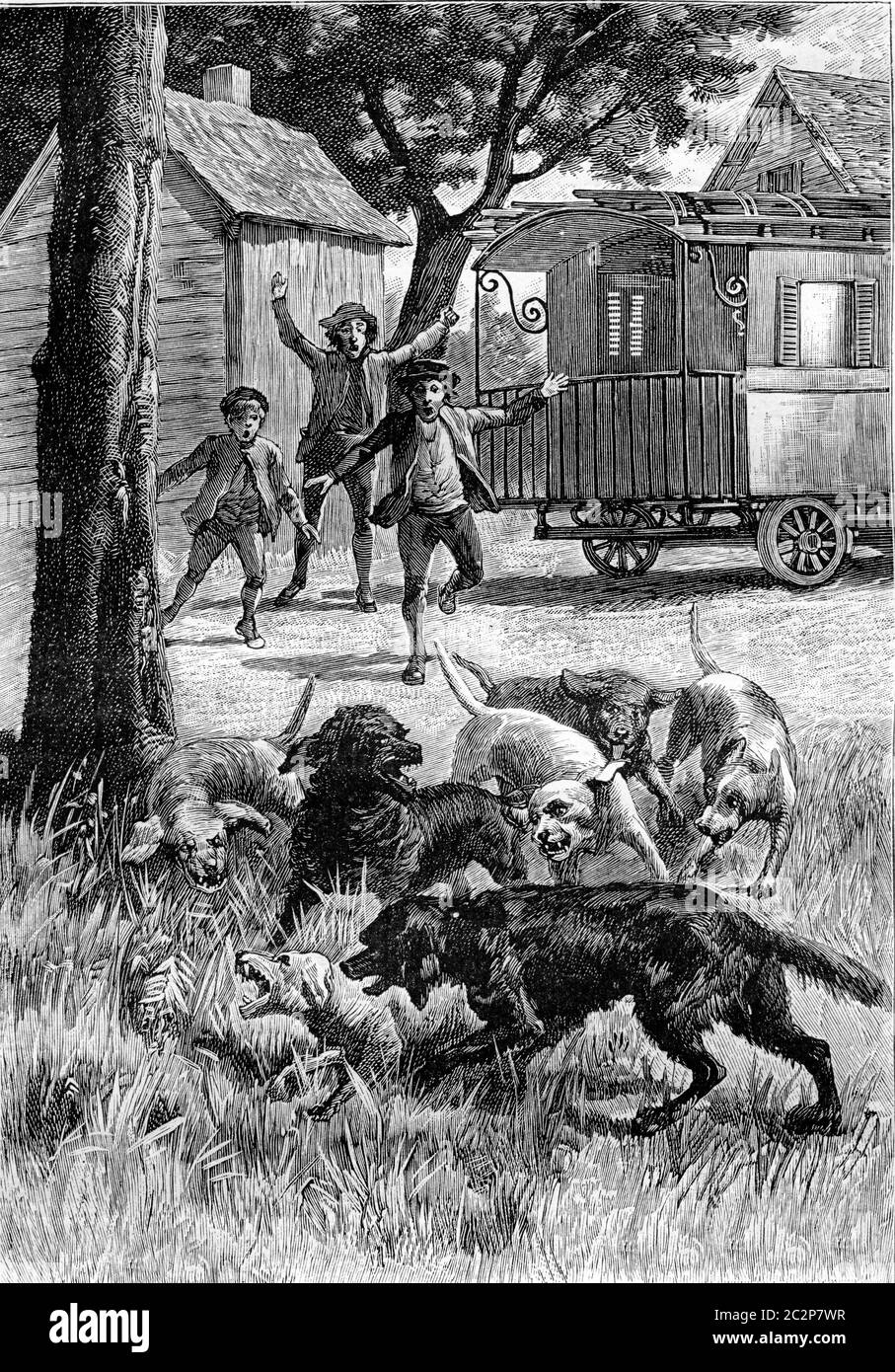 Dogs fighting. From Jules Verne Cesar Cascabel, vintage engraving, 1890. Stock Photo
