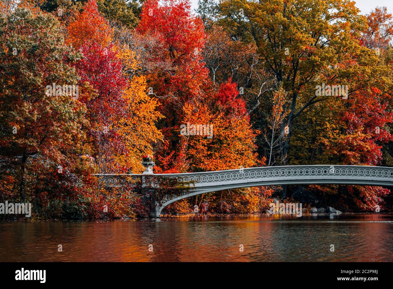 Fall foliage color of Central Park in Manhattan Stock Photo - Alamy