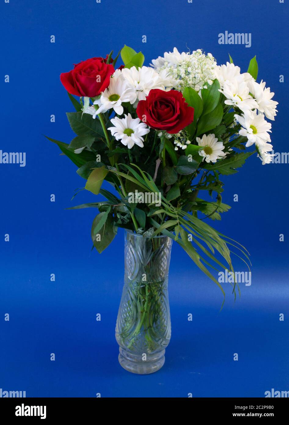 vase of flowers roses on a blue background Stock Photo - Alamy