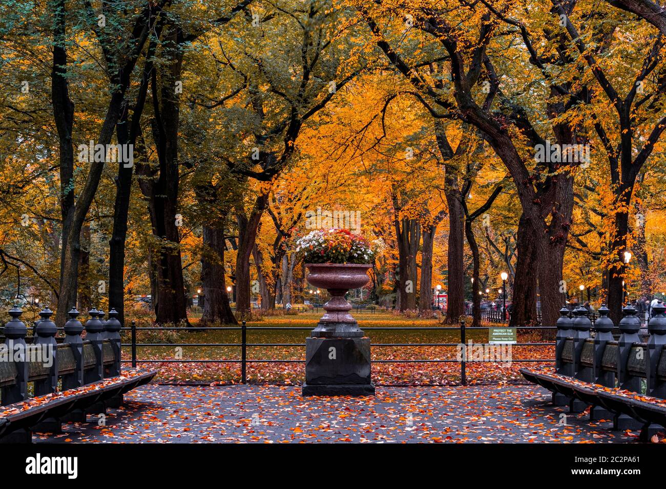 Fall foliage color of Central Park in Manhattan Stock Photo - Alamy