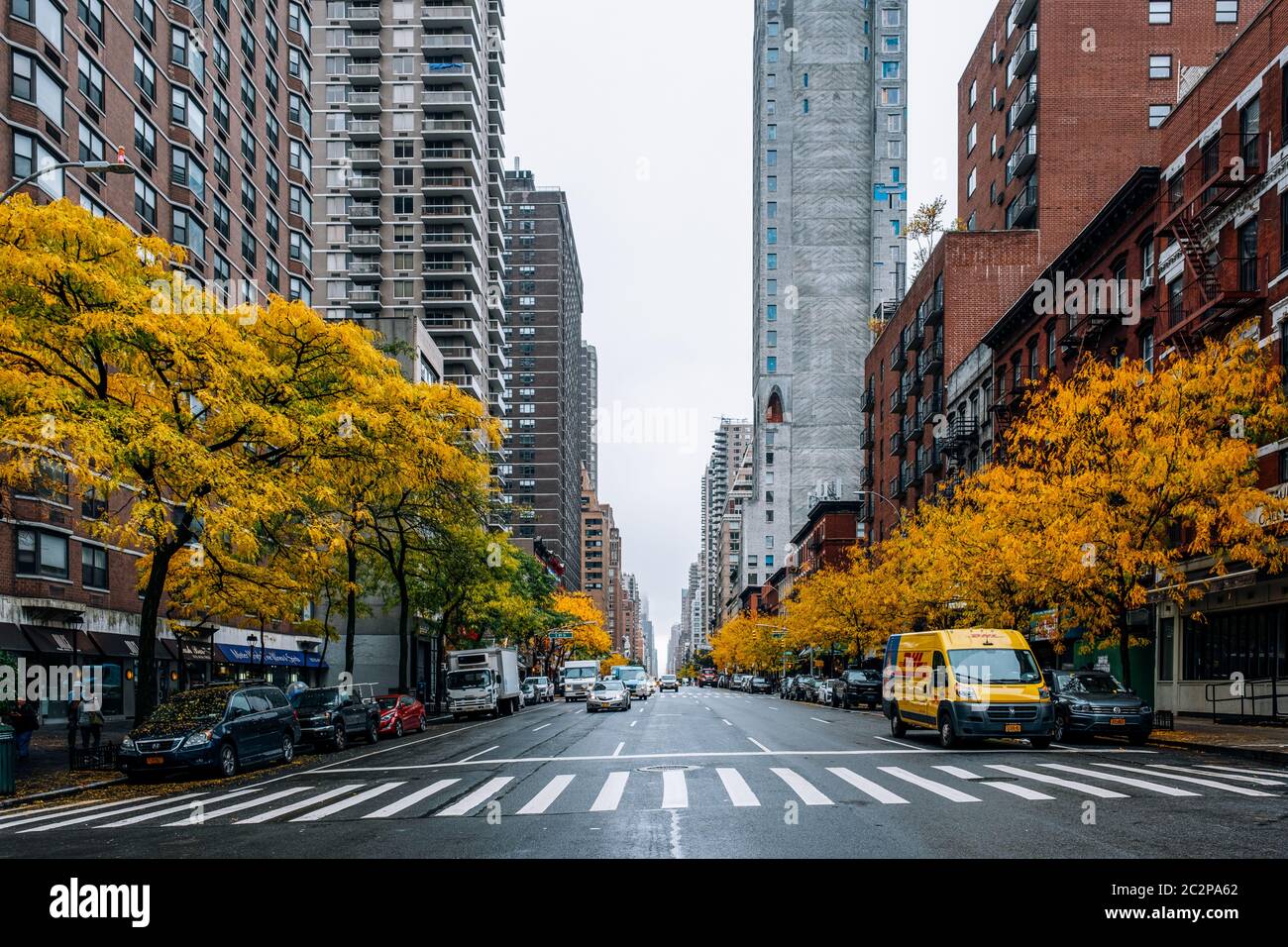 Fall foliage color of Central Park in Manhattan Stock Photo - Alamy