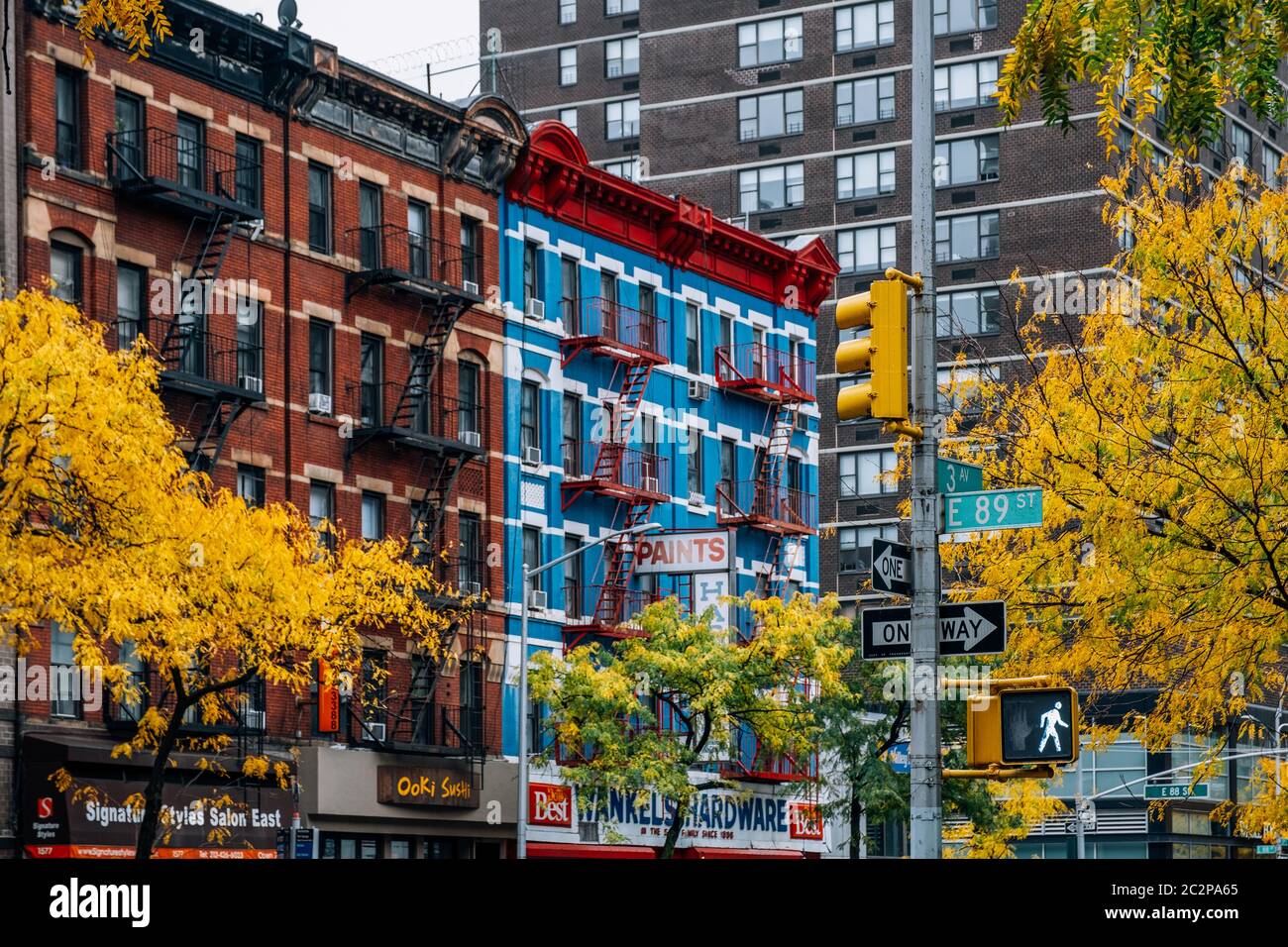 Fall foliage color of Central Park in Manhattan Stock Photo - Alamy