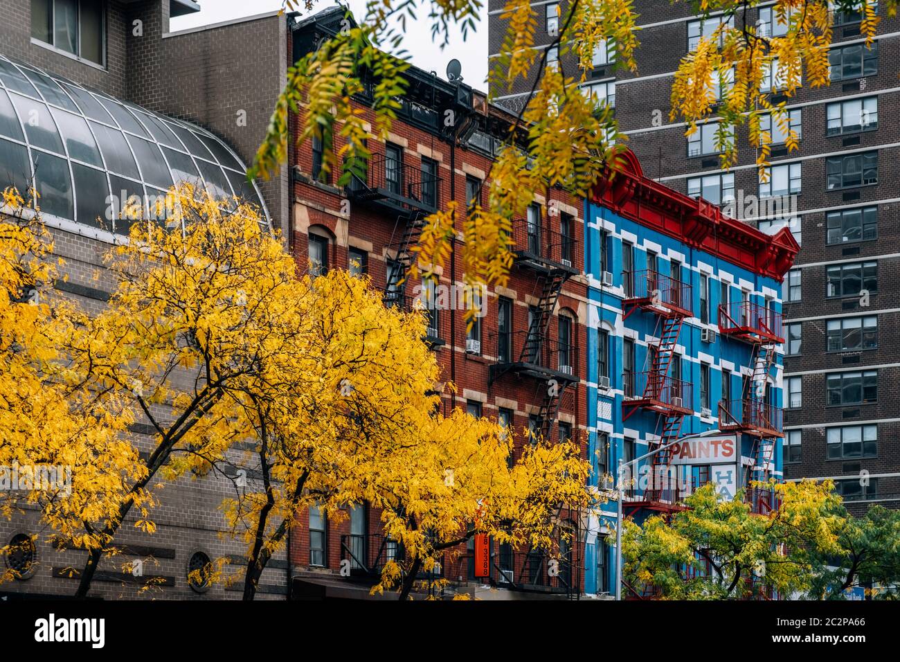 Fall foliage color of Central Park in Manhattan Stock Photo - Alamy