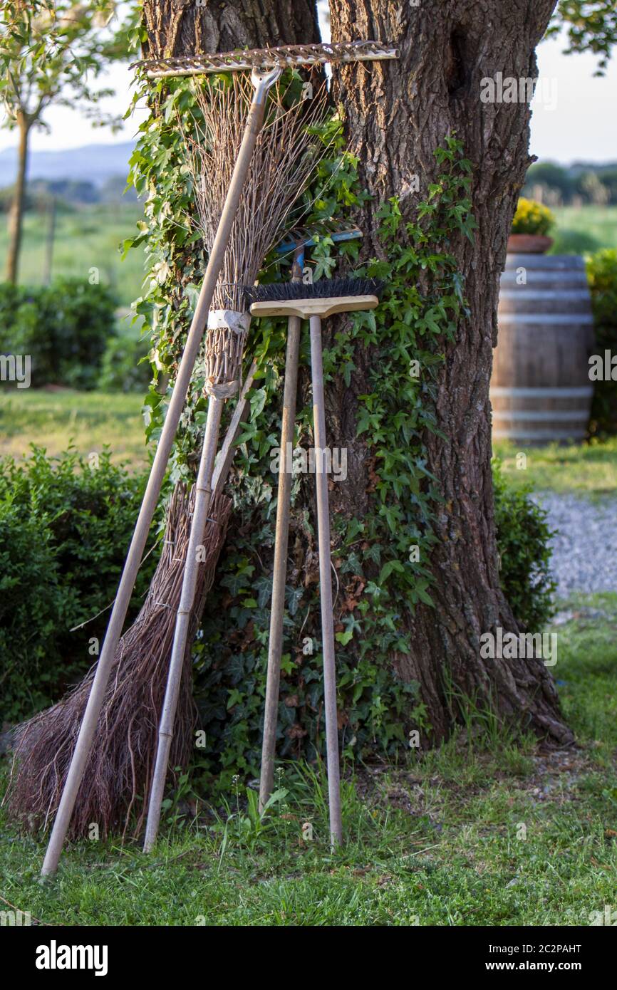 Garden equipment leaning on a tree Stock Photo