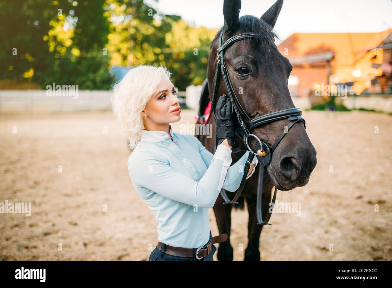 Female rider hugs her horse, friendship, horseback riding. Equestrian ...