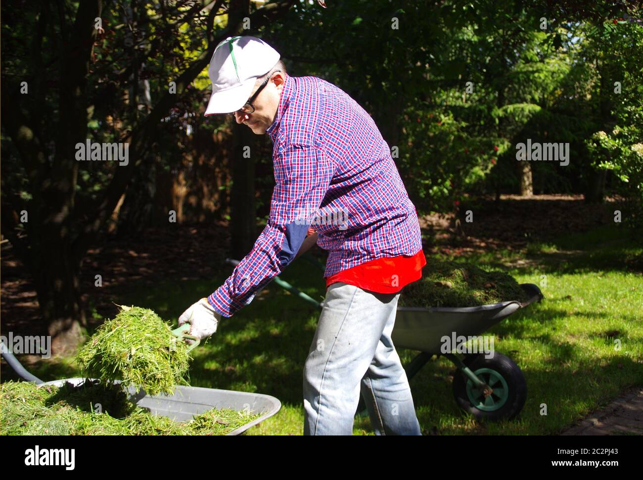 The gardener throws hay with forks in his hands. Freshly cut green grass. Gardening tools in hand. Caring for the home garden. Stock Photo