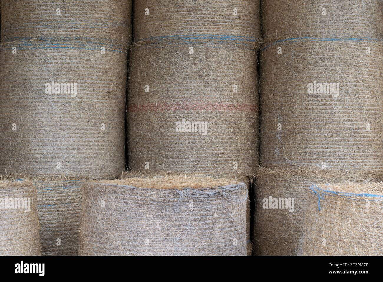 Hay Bale wrapped with net wrap twine and stacked Stock Photo Alamy