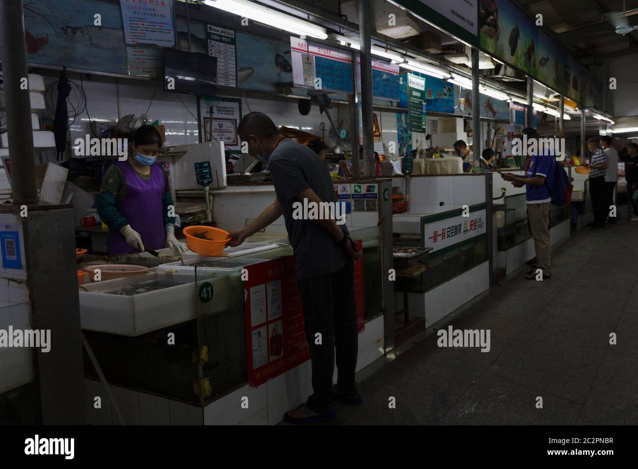 Living animals, fish, frogs sales at local Shanghai market Stock Photo