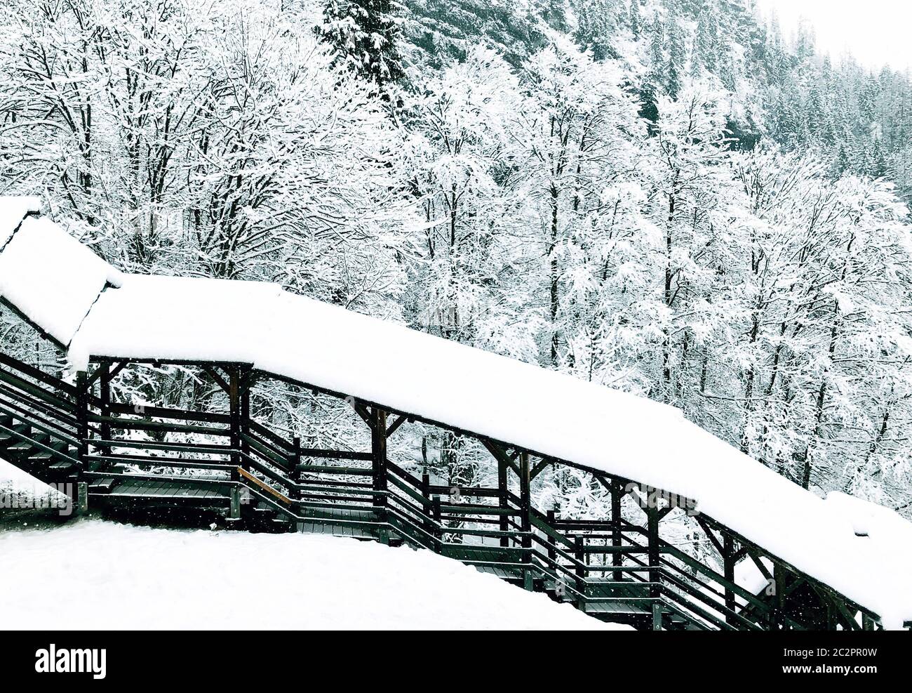 The bridge at old salt mine of Hallstatt Winter snow mountain landscape the pine forest in snowy day, Austria Stock Photo