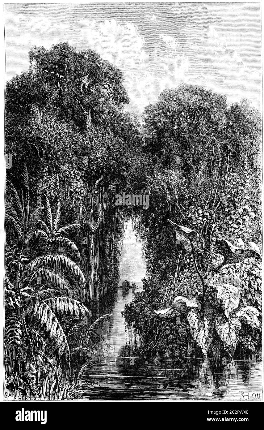 Canal Sapote, vintage engraved illustration. Le Tour du Monde, Travel Journal, (1865). Stock Photo