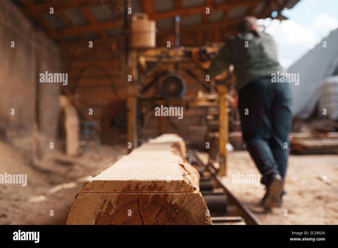 Joiner works on woodworking machine, lumber industry, carpentry. Wood processing on factory
