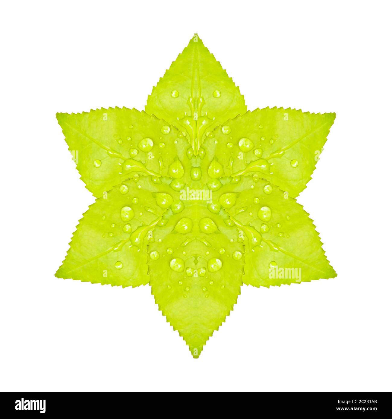 Artificial green flower hi-res stock photography and images - Alamy