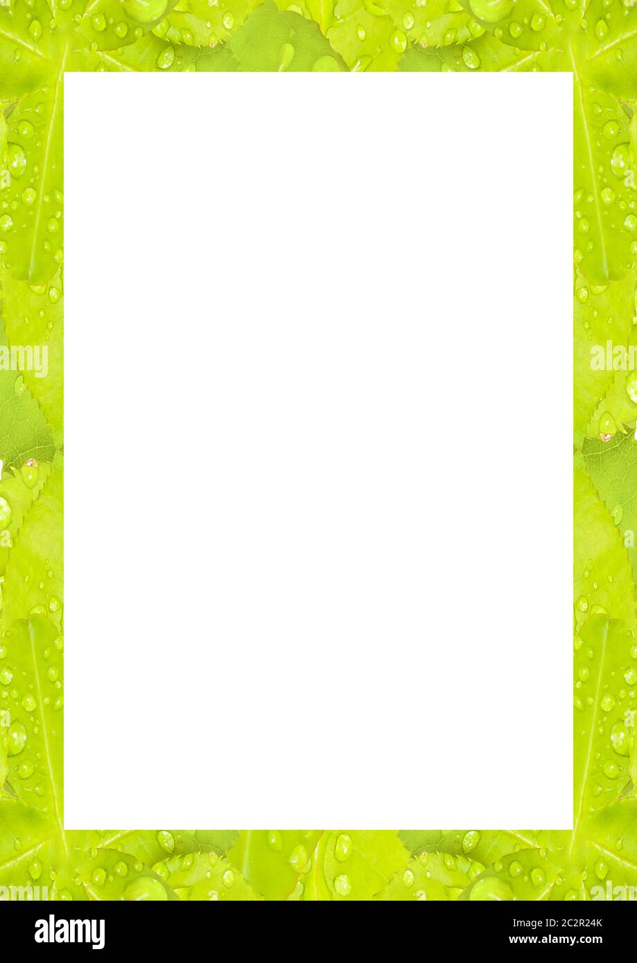 White Frame with Decorated Borders Stock Photo