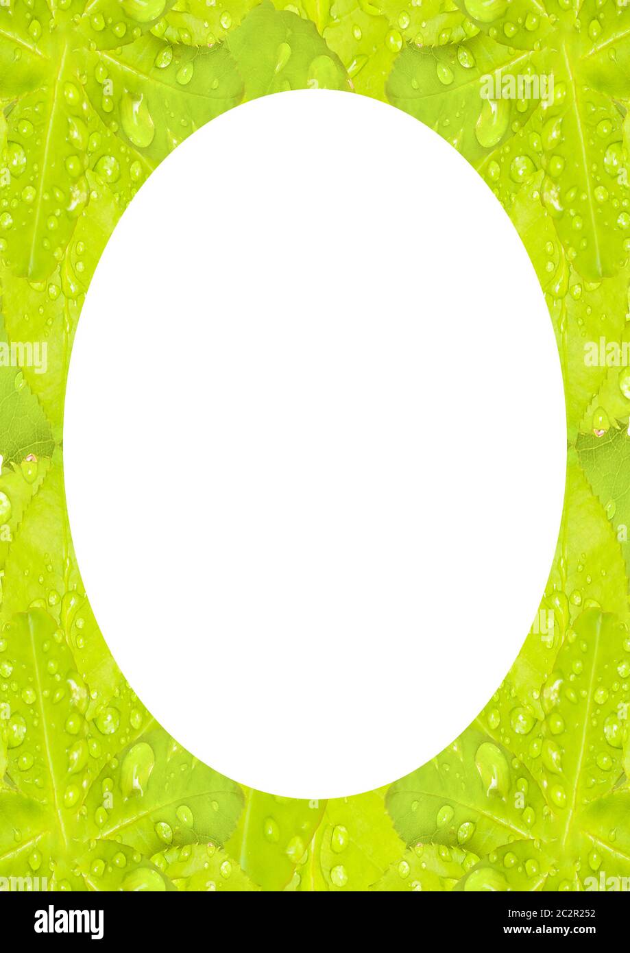 Circle Frame Background with Decorated Borders Stock Photo