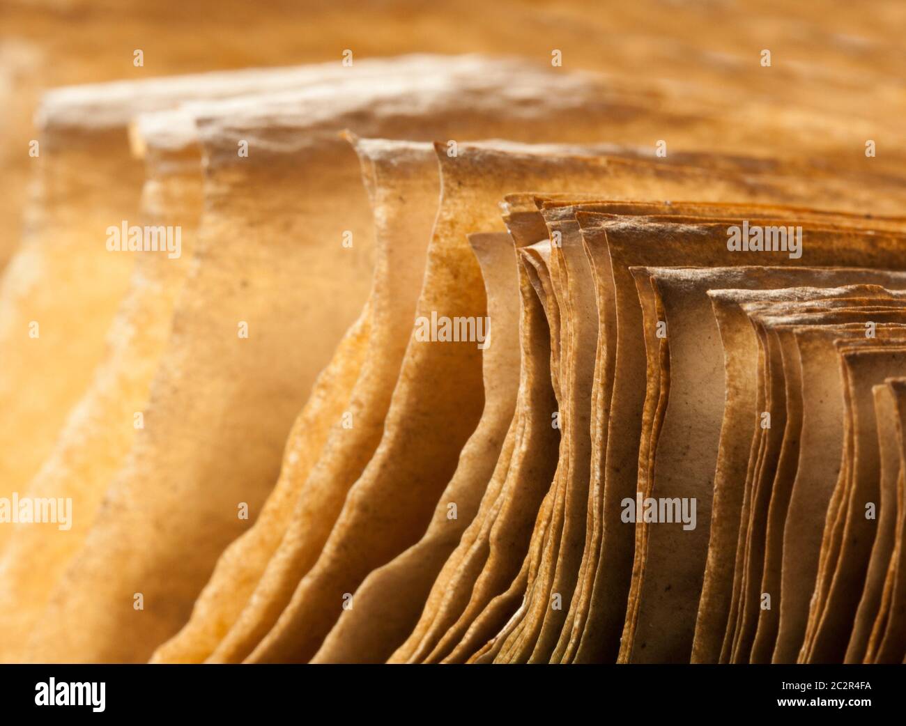Open close up grungy hi-res stock photography and images - Alamy