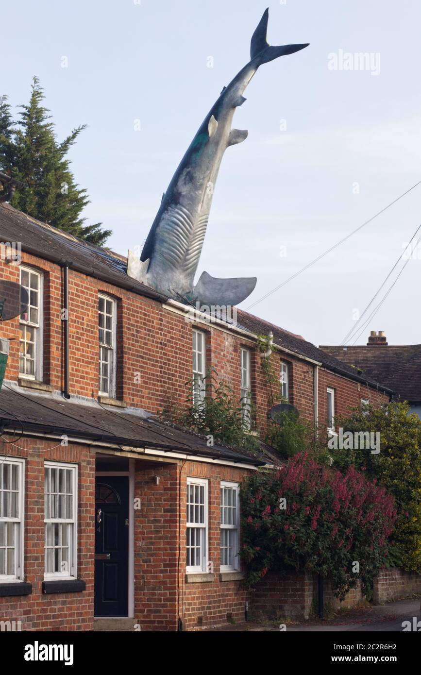 The Headington Shark, large shark embedded head-first in the roof,  erected on the 41st anniversary of the dropping of the atomic bomb on Nagasaki. Stock Photo