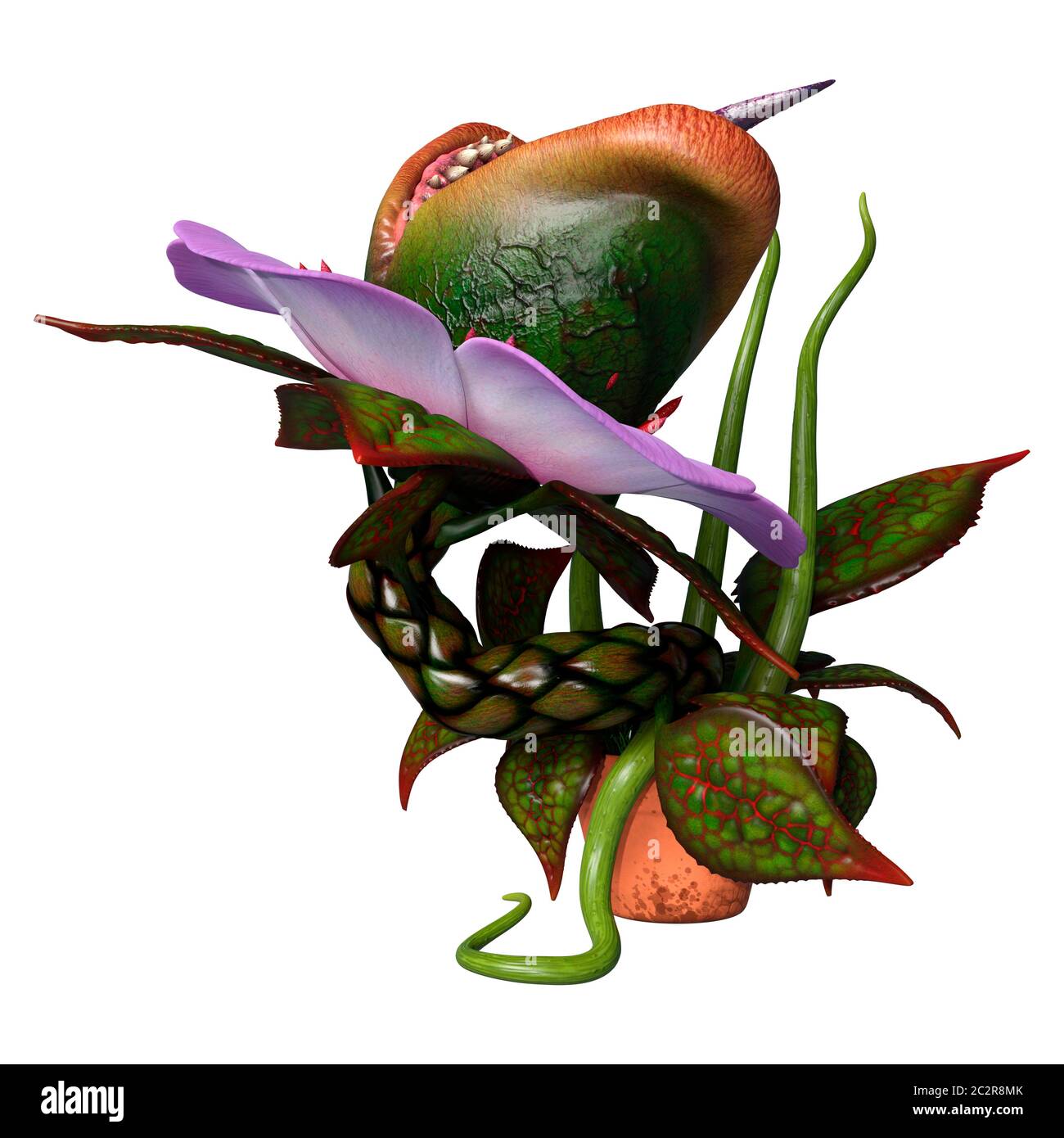 3D rendering of a carnivorous plant isolated on white background Stock ...