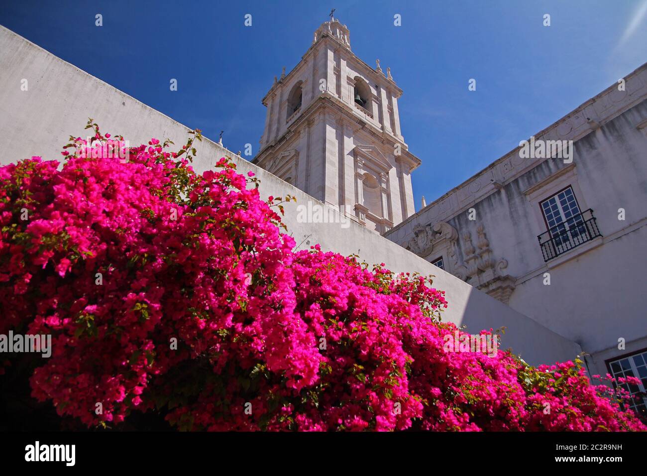 The pink colored flowers and the white building Stock Photo - Alamy