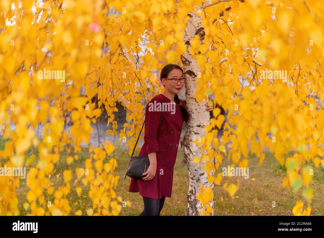 Yakut Asian young happy girl dress with handbag with glasses and with ornaments hugging birch with yellow leaves in autumn. Stock Photo