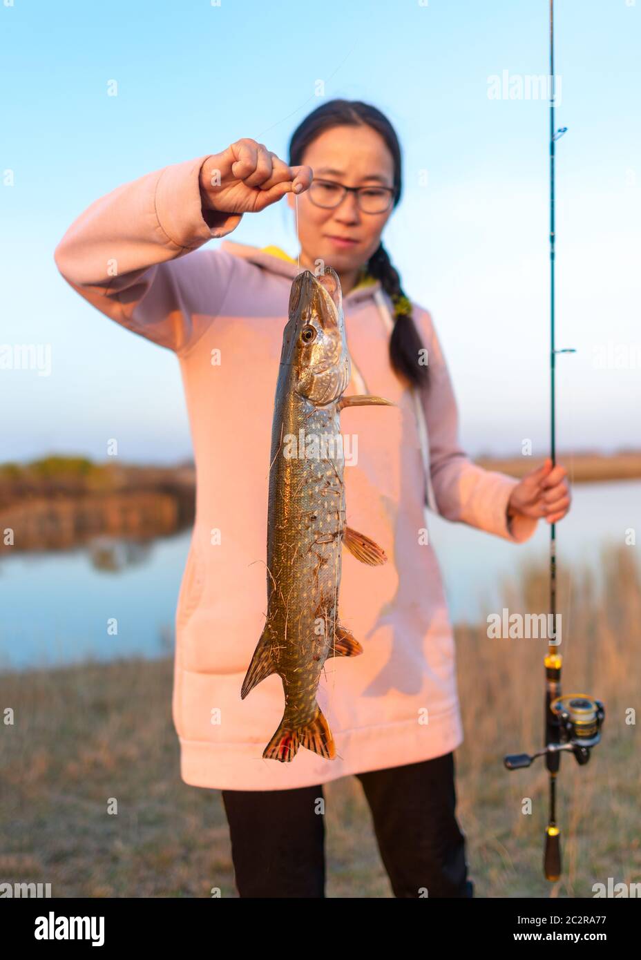 Yakut girl fisherman hard holding in his hand on the cord caught pike with spinning in the other hand on the background of the lake. Stock Photo