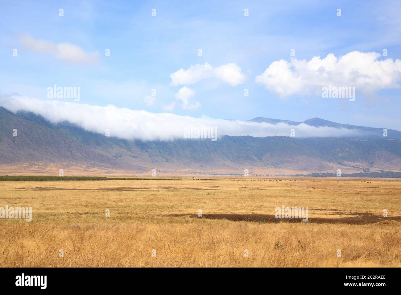 Ngorongoro Caldera High Resolution Stock Photography and Images - Alamy