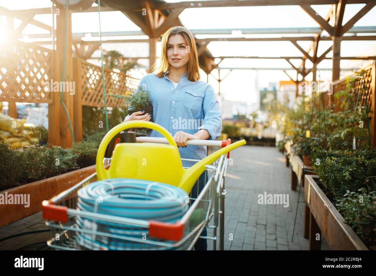 Female customer buying gardening tools, shop for floristry. Woman choosing equipment in store for floriculture, florist instrument purchasing, gardeni Stock Photo