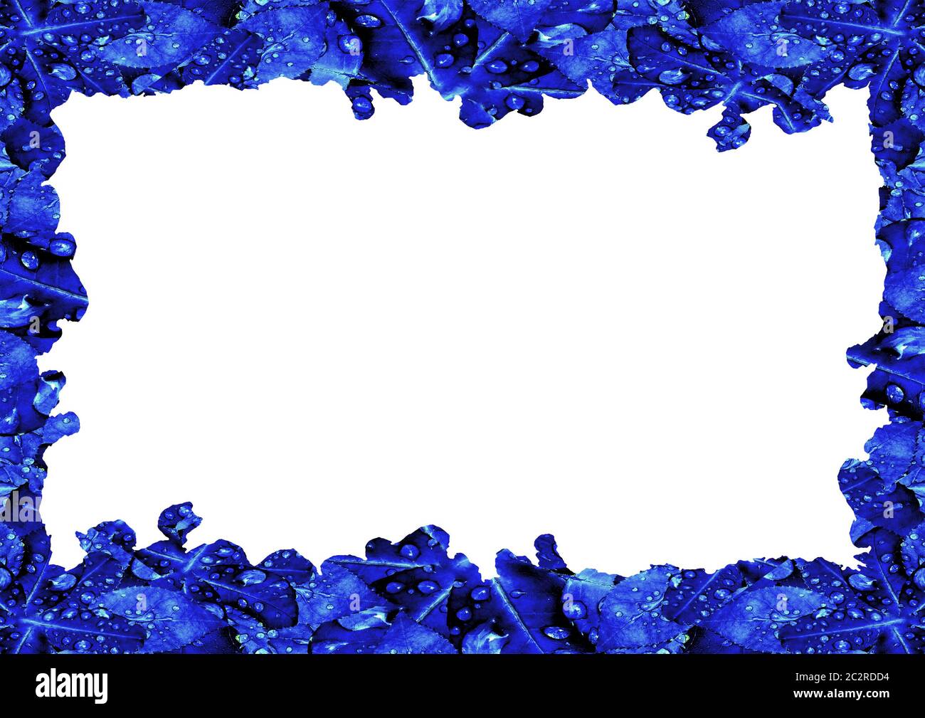 White Frame with Decorated Borders Stock Photo