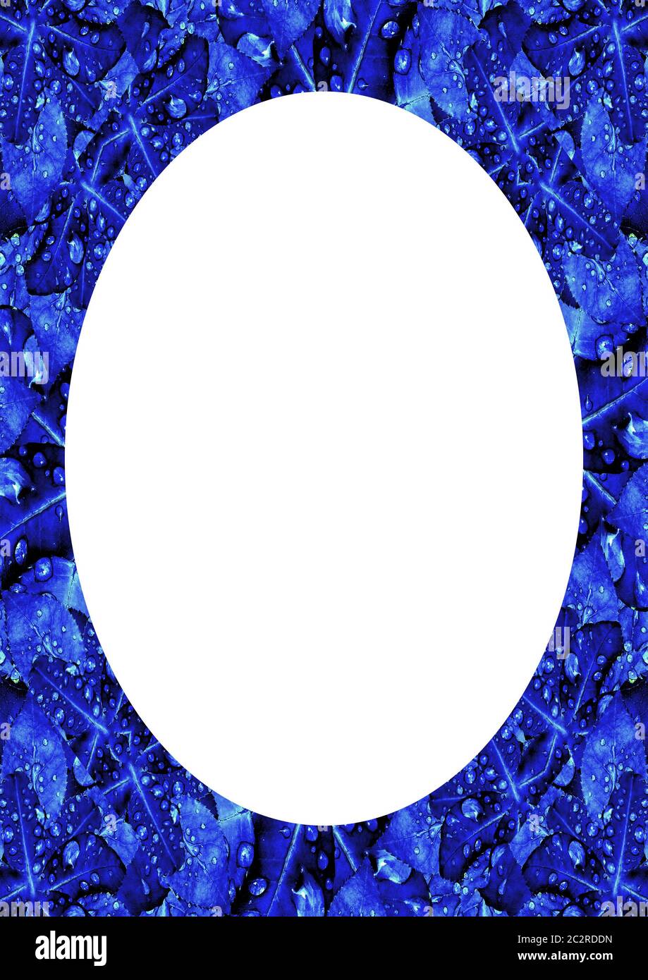 Circle Frame Background with Decorated Borders Stock Photo