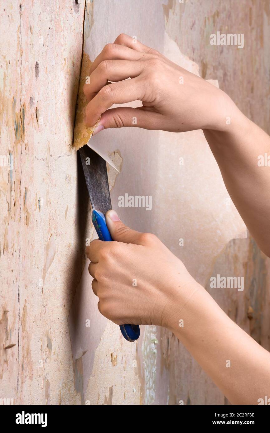 hands removing wallpaper from wall Stock Photo