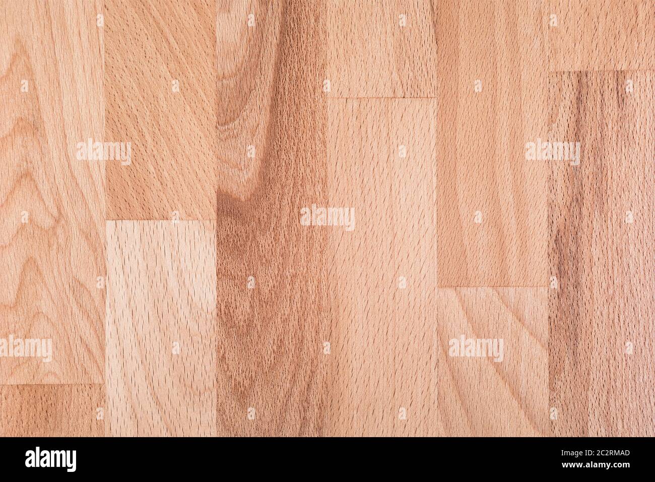 Beech wood texture Stock Photo